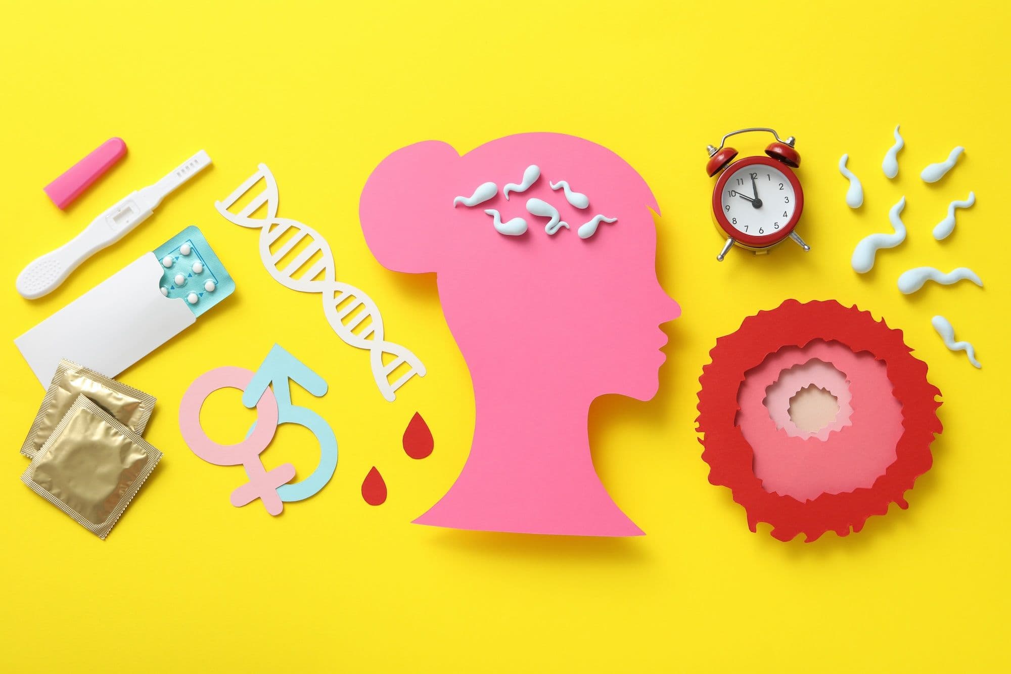 Comment les hormones influencent l’équilibre intime féminin